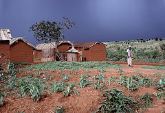 Tanzania photo